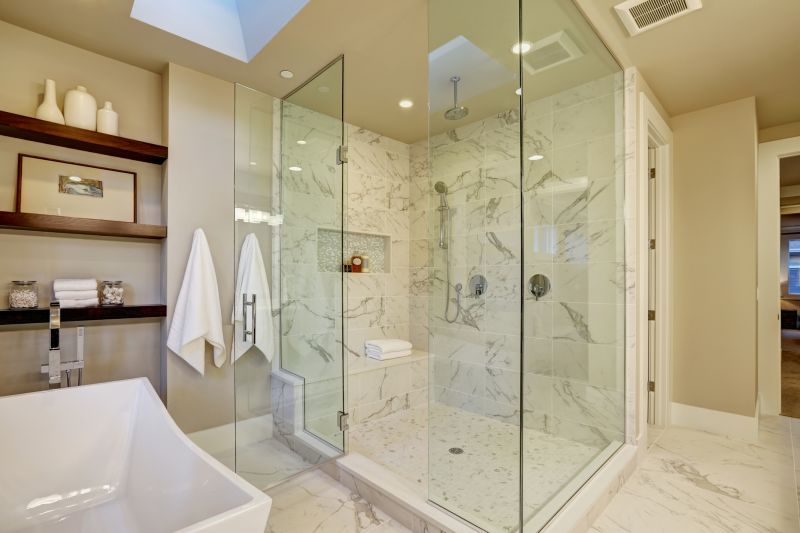 Luxurious Shower Niche Designs